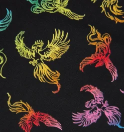 TomboyX 9" Boxer Briefs - Rainbow Phoenix Hot