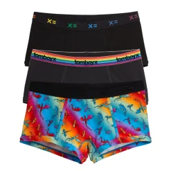 TomboyX Boy Shorts 3-Pack - Pride Rainbow Dragon Discount
